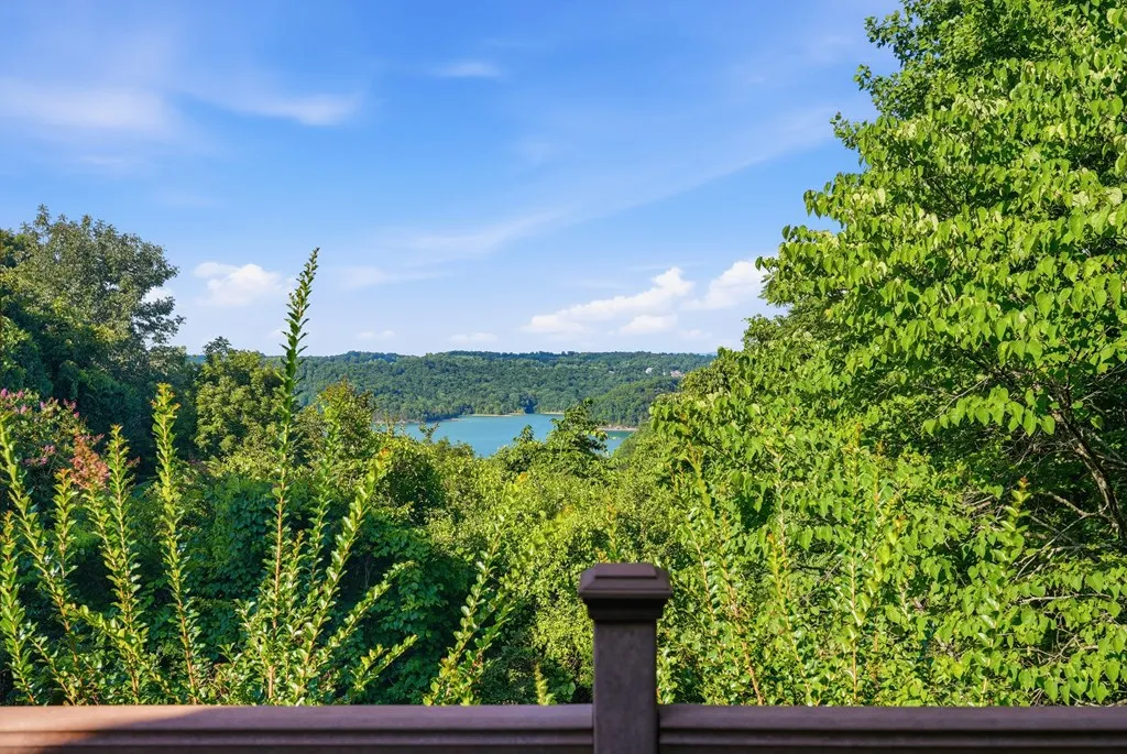 154 Parkview Drive Byrdstown TN 38549