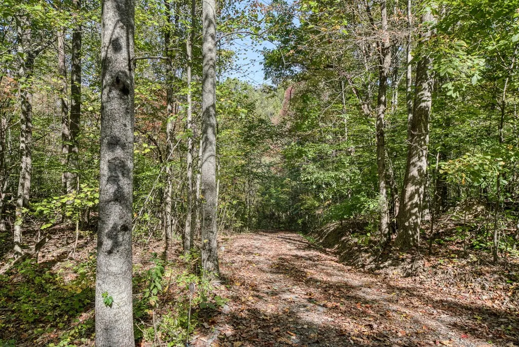 8631 Monterey Highway Monterey TN 38574-3205