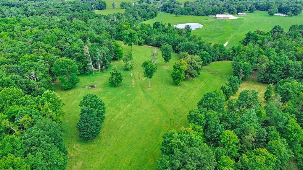 1041 Walt Reed Road Grandview TN 37337