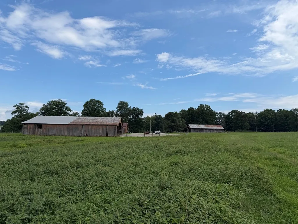 1041 Walt Reed Road Grandview TN 37337