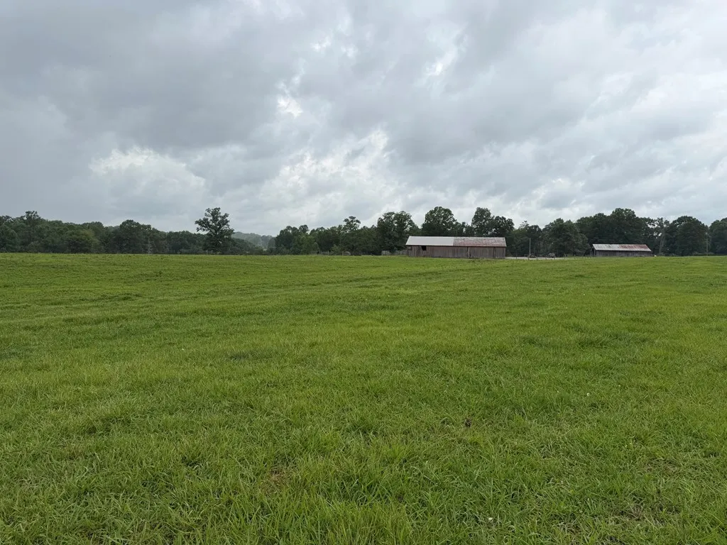 1041 Walt Reed Road Grandview TN 37337