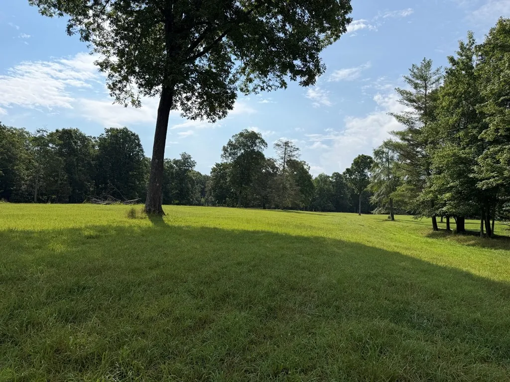 1041 Walt Reed Road Grandview TN 37337