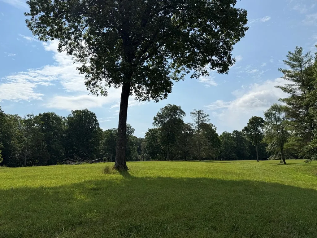 1041 Walt Reed Road Grandview TN 37337