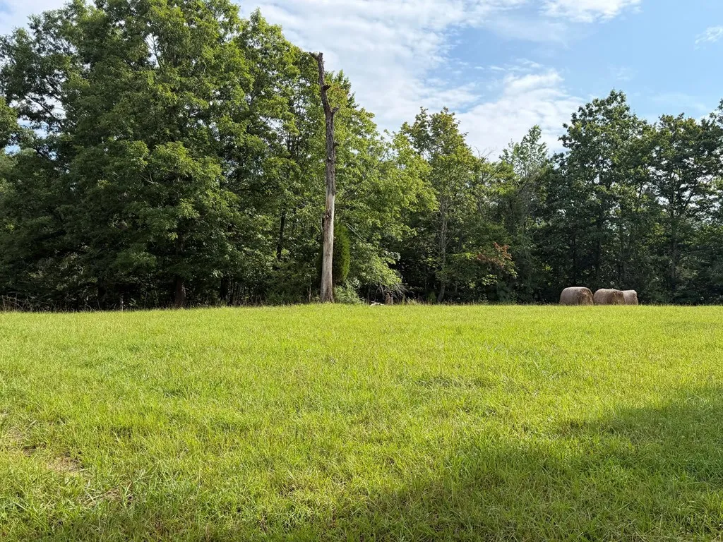 1041 Walt Reed Road Grandview TN 37337
