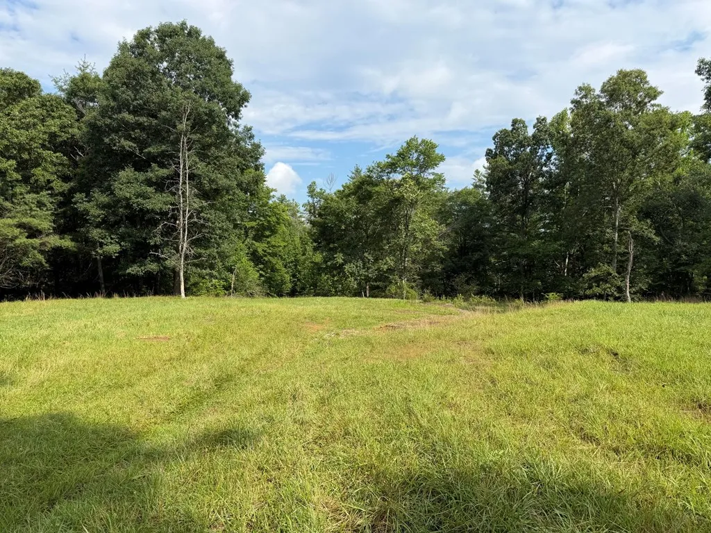 1041 Walt Reed Road Grandview TN 37337