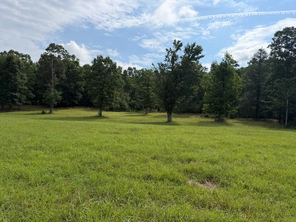 1041 Walt Reed Road Grandview TN 37337