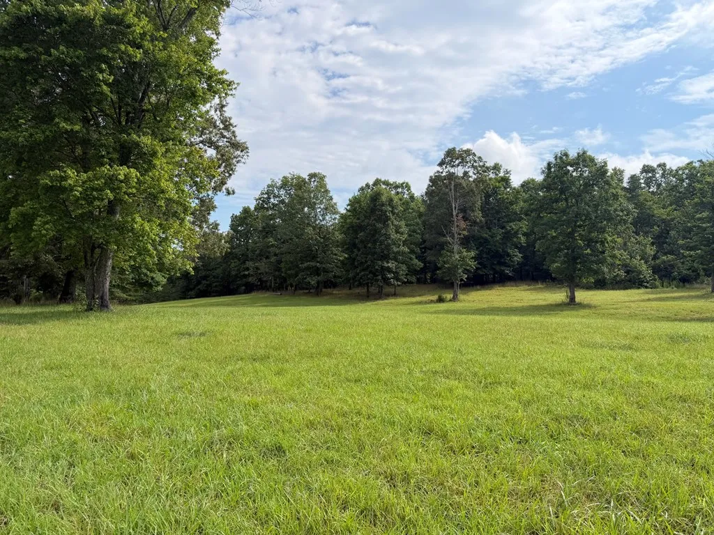 1041 Walt Reed Road Grandview TN 37337