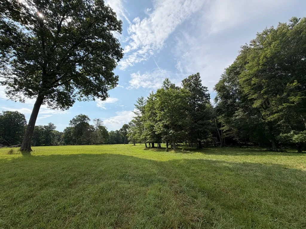 1041 Walt Reed Road Grandview TN 37337