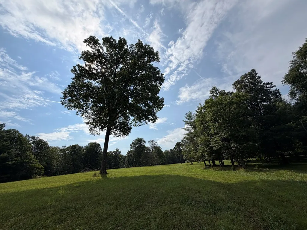 1041 Walt Reed Road Grandview TN 37337