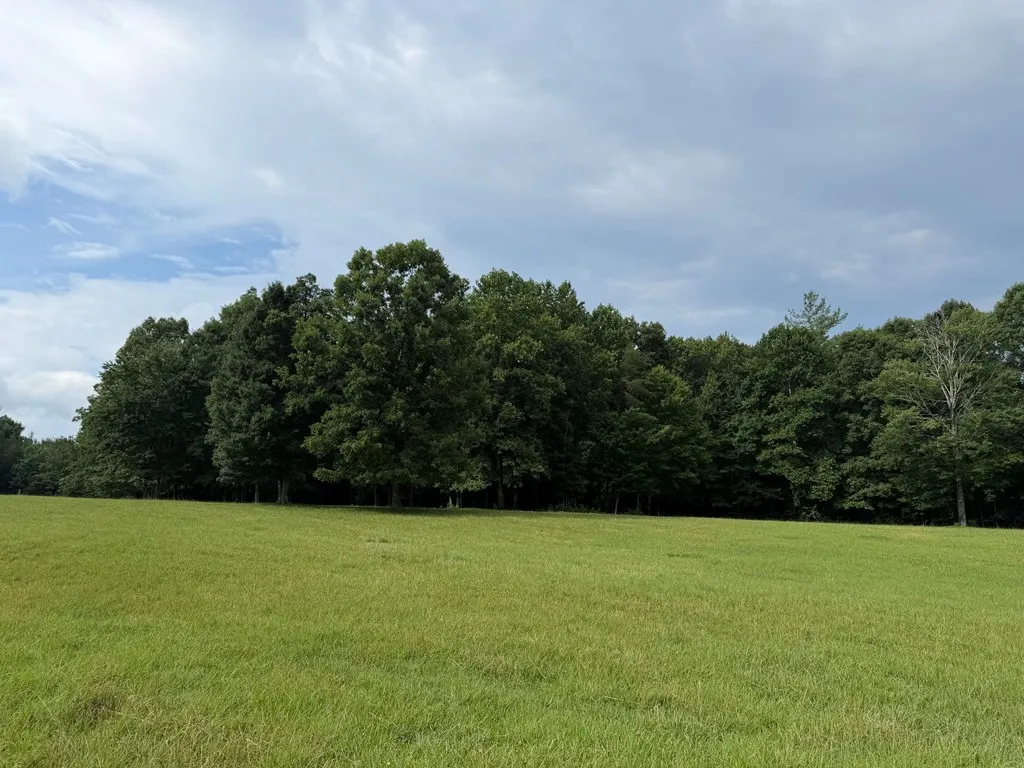 1041 Walt Reed Road Grandview TN 37337