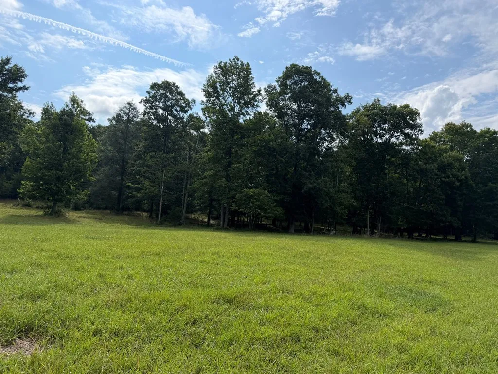 1041 Walt Reed Road Grandview TN 37337
