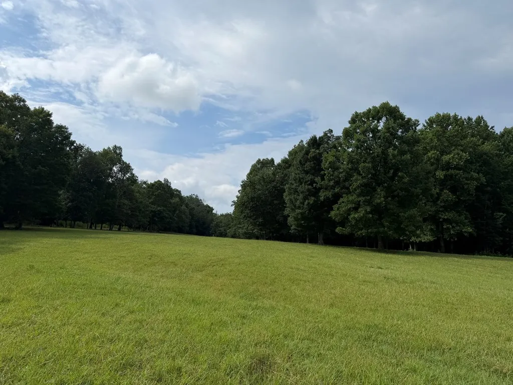 1041 Walt Reed Road Grandview TN 37337
