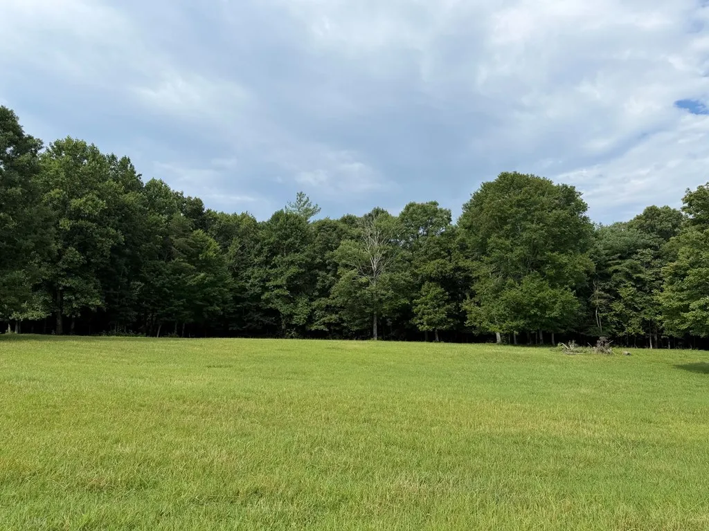 1041 Walt Reed Road Grandview TN 37337