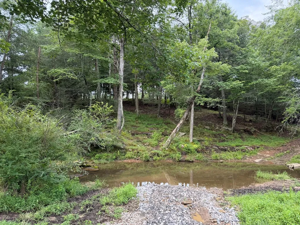 1041 Walt Reed Road Grandview TN 37337