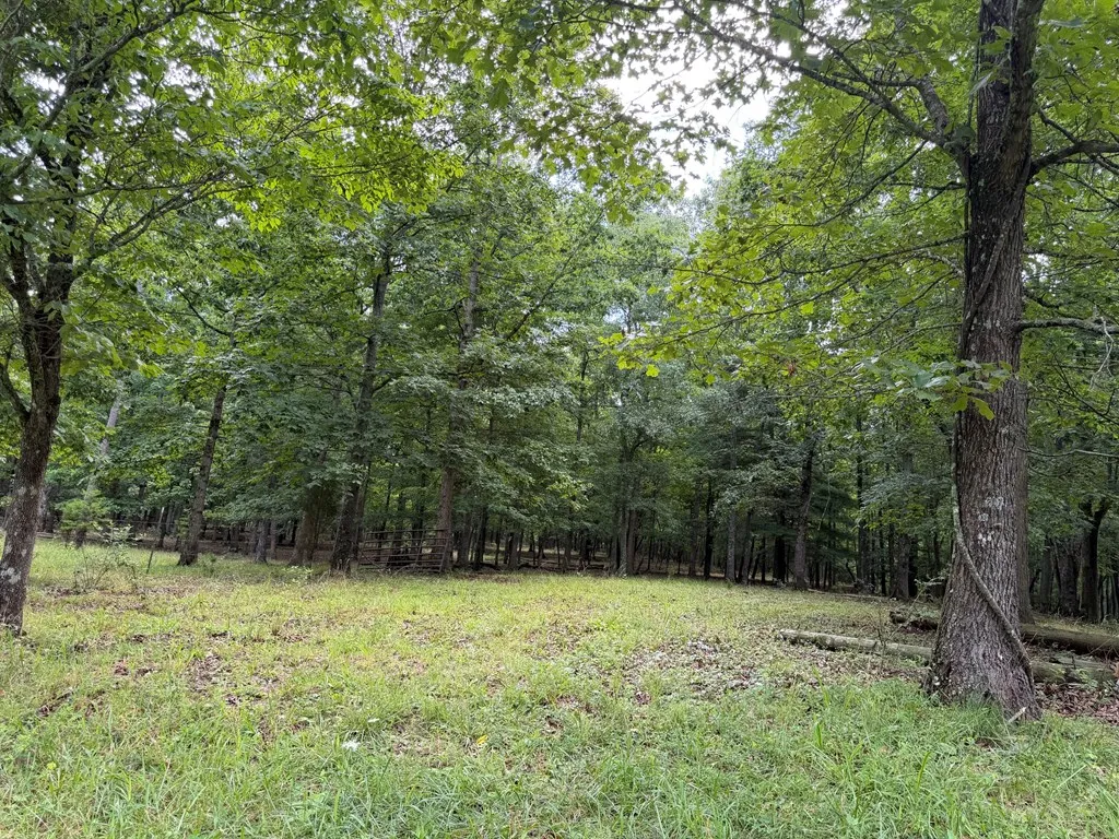 1041 Walt Reed Road Grandview TN 37337