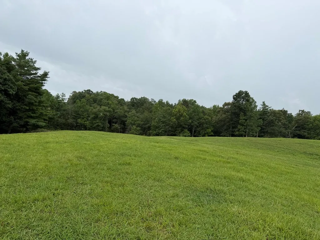 1041 Walt Reed Road Grandview TN 37337