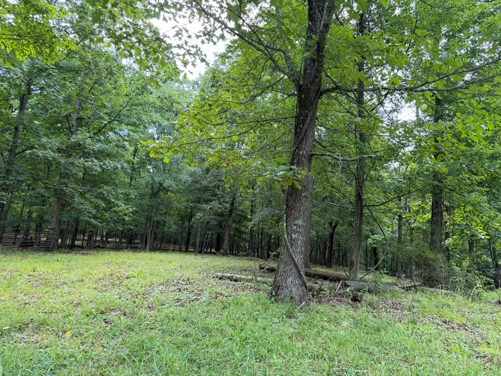 1041 Walt Reed Road Grandview TN 37337