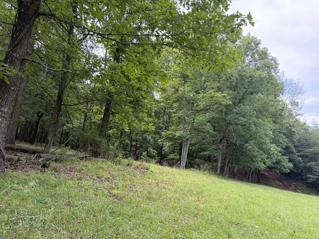 1041 Walt Reed Road Grandview TN 37337