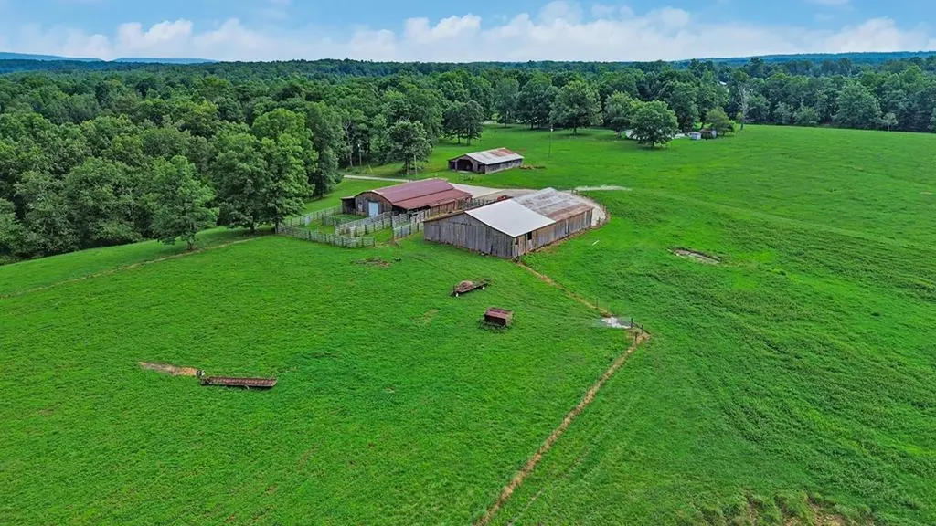 1041 Walt Reed Road Grandview TN 37337