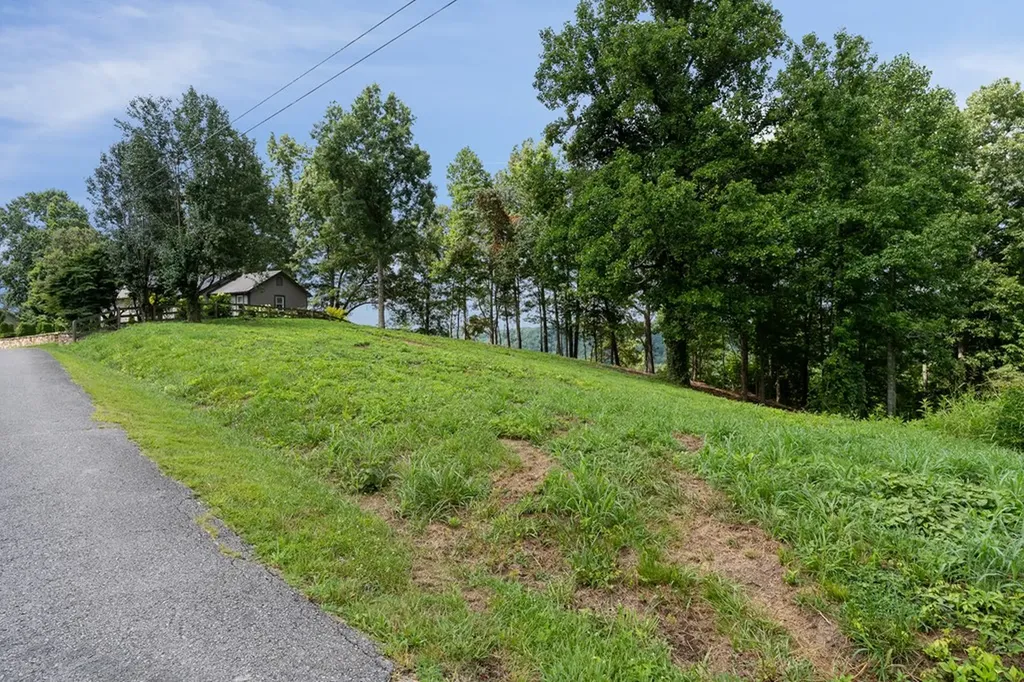 0 Opal Point Drive Smithville TN 37166