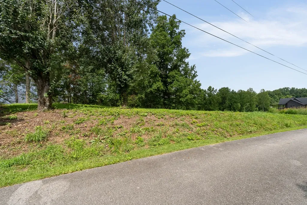 0 Opal Point Drive Smithville TN 37166