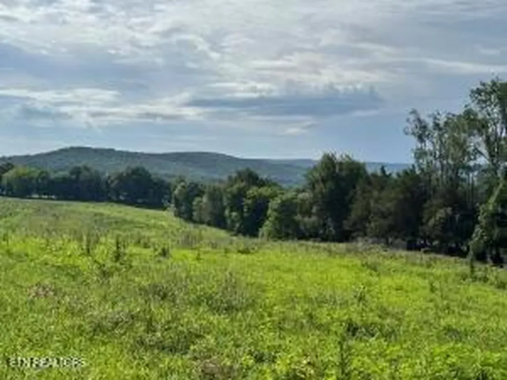 Tbd Collier Lane Rock Island TN 38581