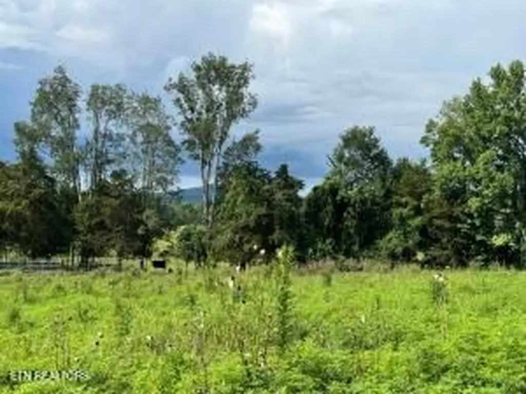Tbd Collier Lane Rock Island TN 38581