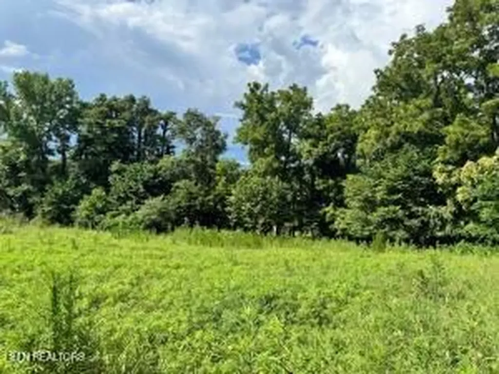 Tbd Collier Lane Rock Island TN 38581