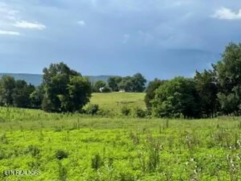 Tbd Collier Lane Rock Island TN 38581