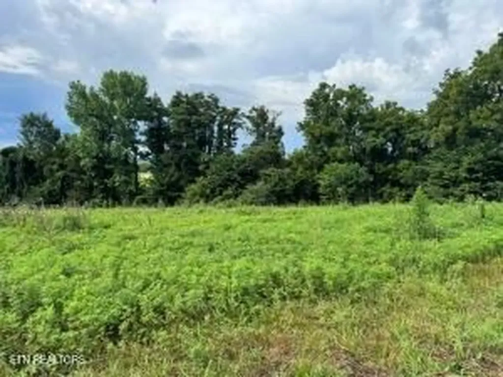 Tbd Collier Lane Rock Island TN 38581