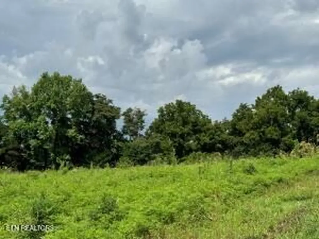 Tbd Collier Lane Rock Island TN 38581