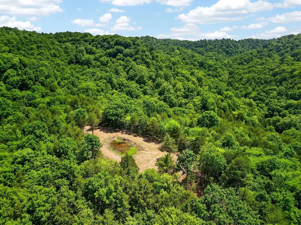 2926 Bryant Ridge Road Baxter TN 38544