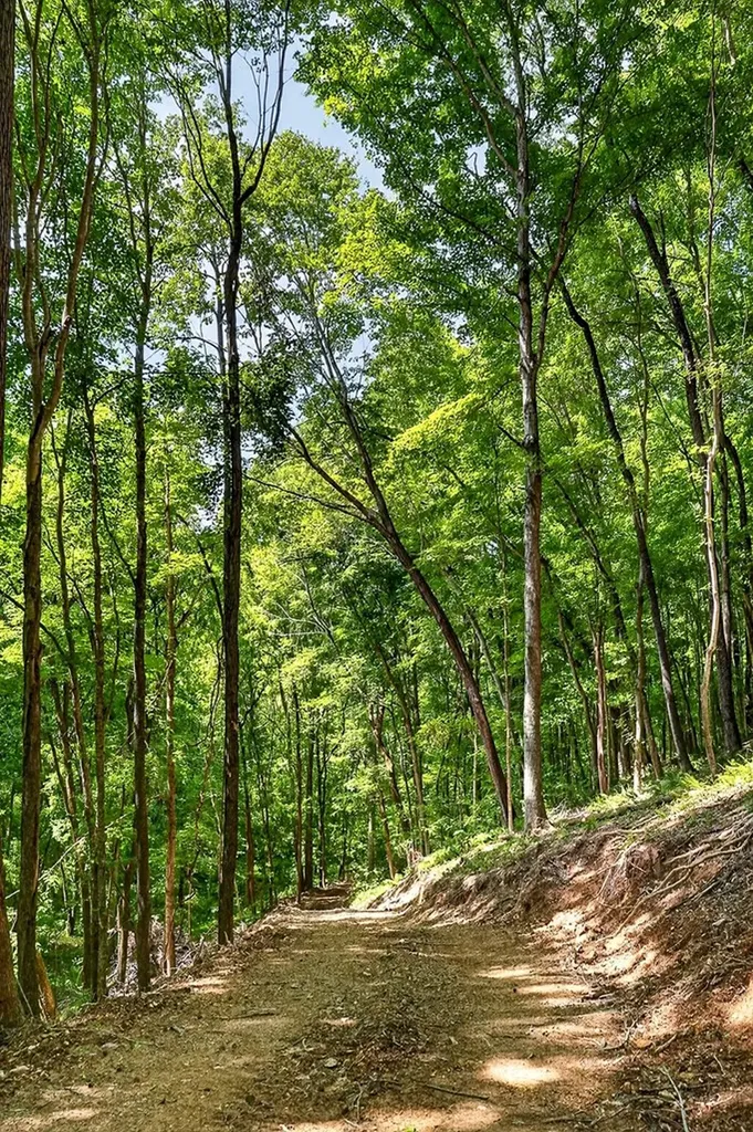 2926 Bryant Ridge Road Baxter TN 38544