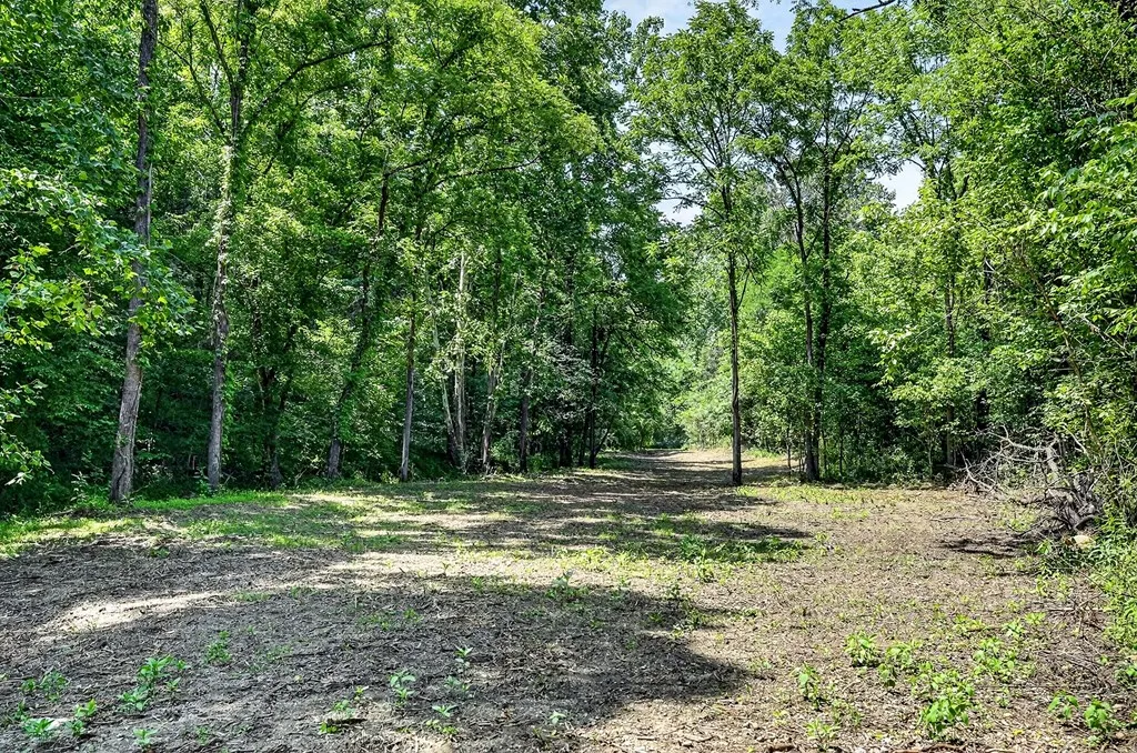 2926 Bryant Ridge Road Baxter TN 38544
