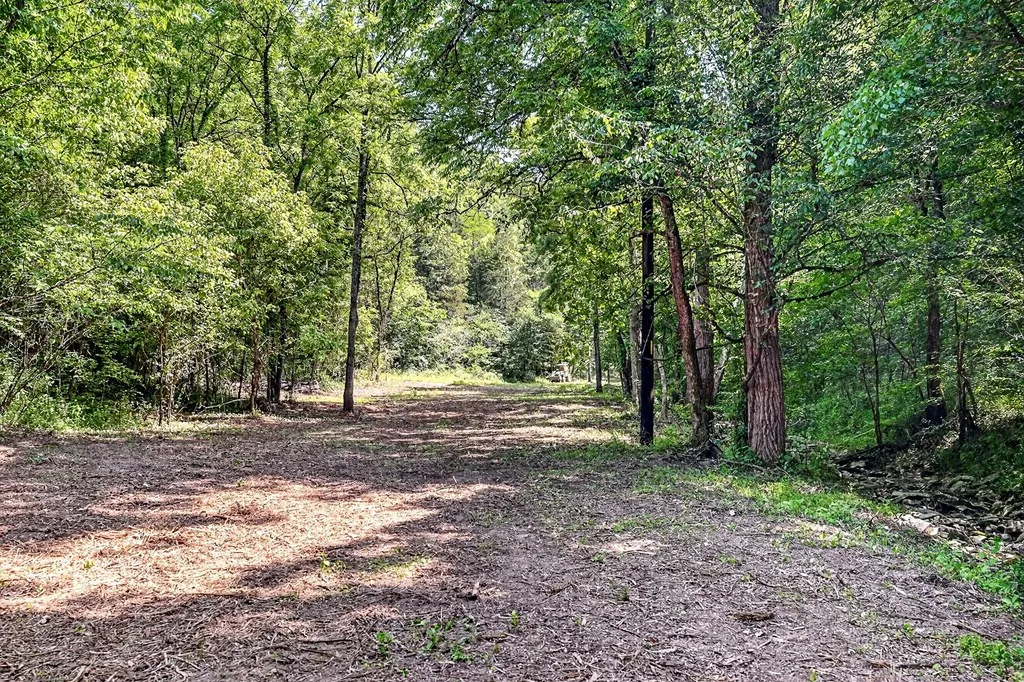 2926 Bryant Ridge Road Baxter TN 38544