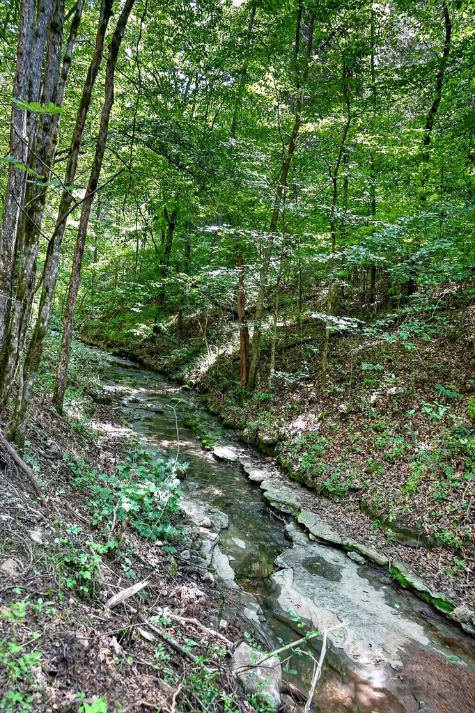 2926 Bryant Ridge Road Baxter TN 38544