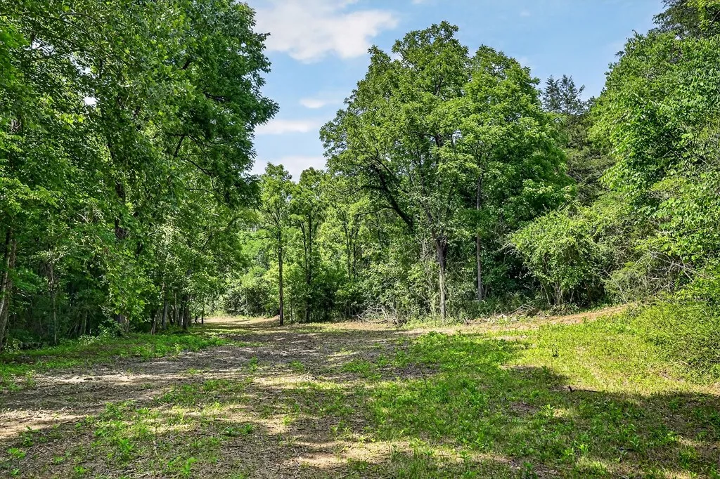 2926 Bryant Ridge Road Baxter TN 38544
