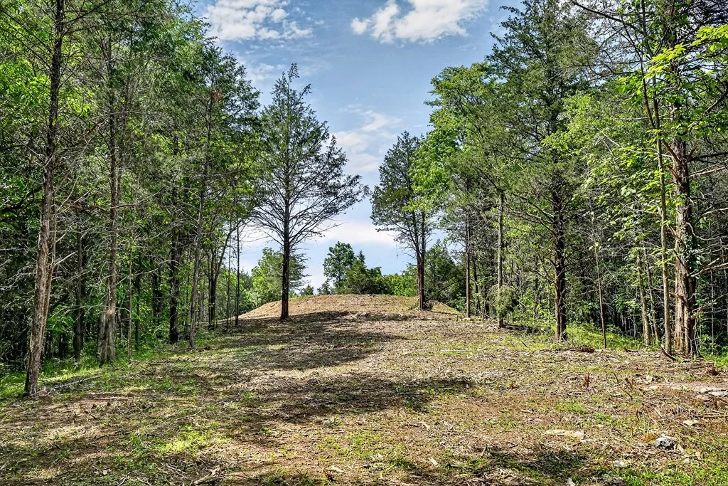 2926 Bryant Ridge Road Baxter TN 38544