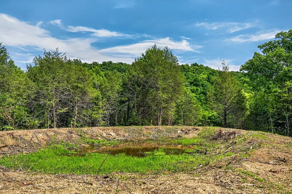 2926 Bryant Ridge Road Baxter TN 38544