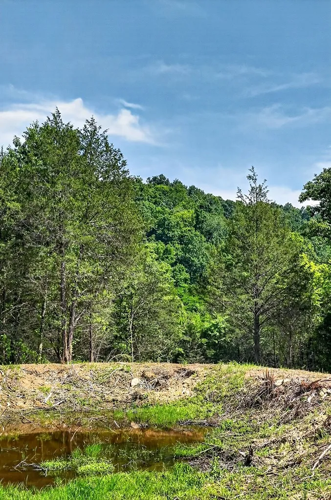 2926 Bryant Ridge Road Baxter TN 38544