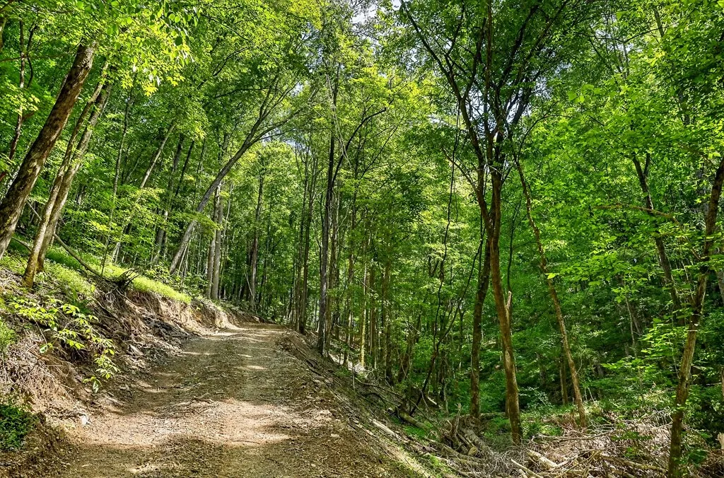 2926 Bryant Ridge Road Baxter TN 38544