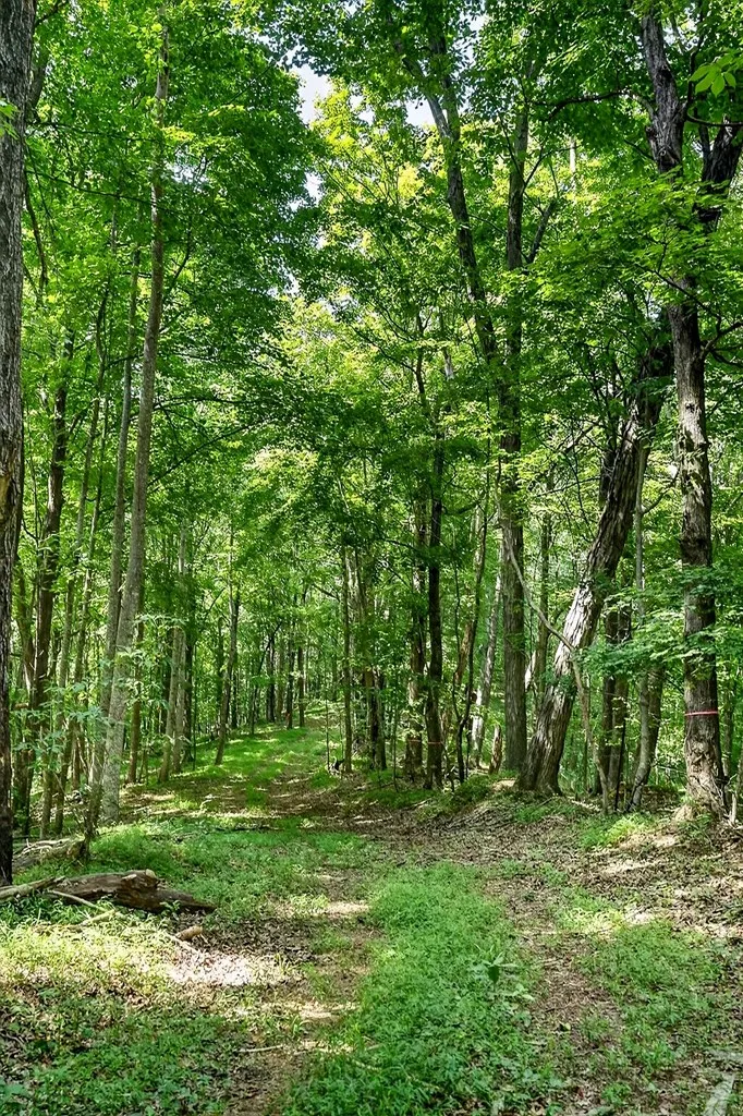 2926 Bryant Ridge Road Baxter TN 38544