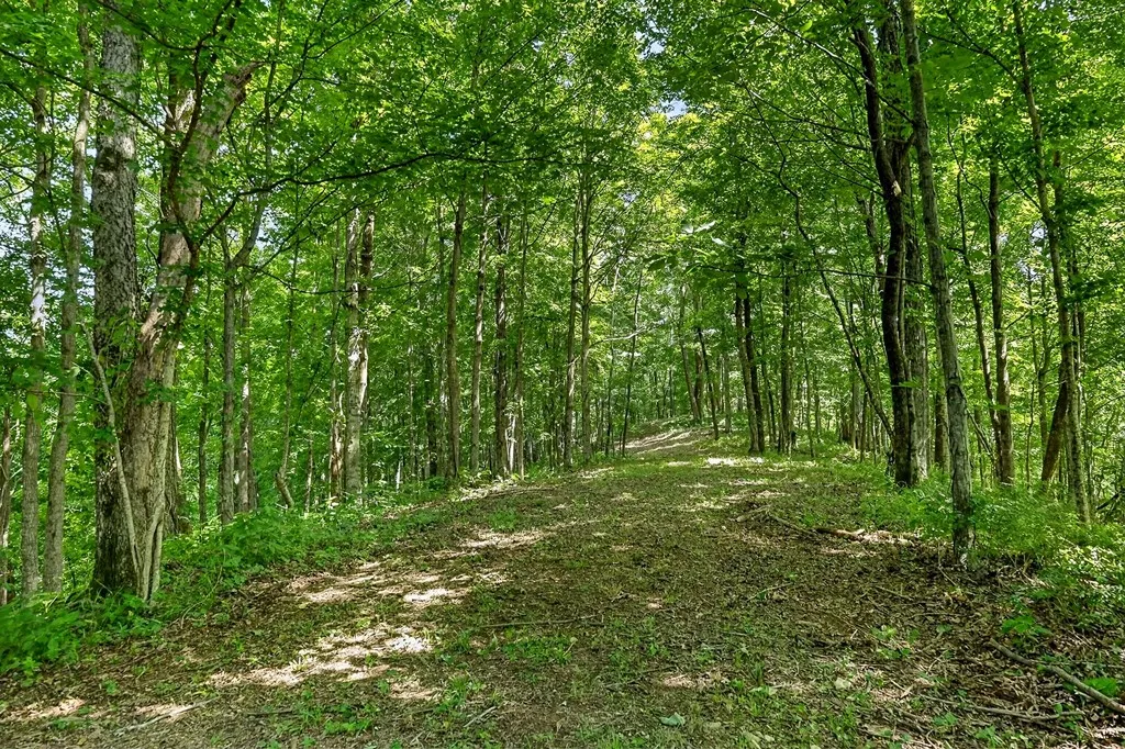 2926 Bryant Ridge Road Baxter TN 38544