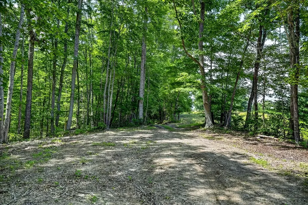 2926 Bryant Ridge Road Baxter TN 38544