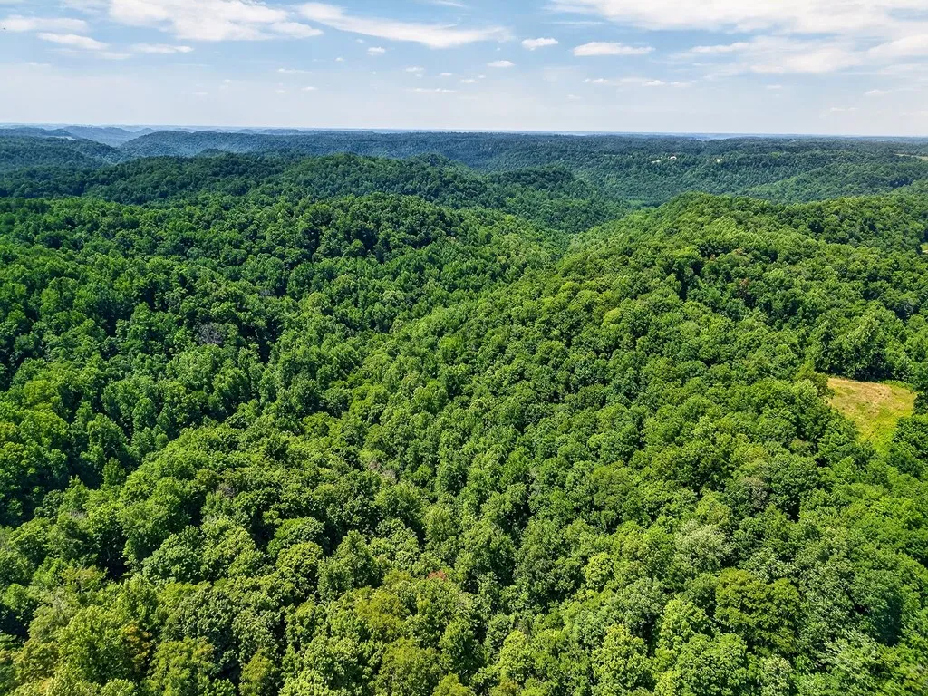 2926 Bryant Ridge Road Baxter TN 38544