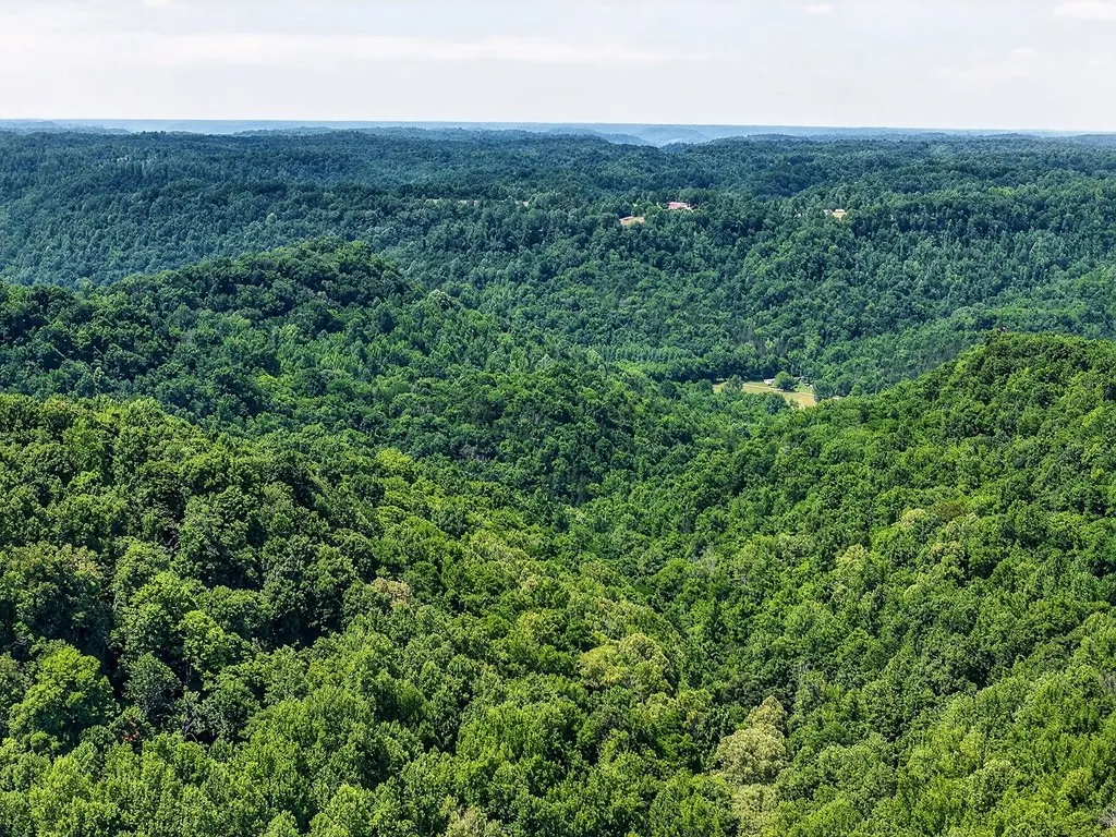 2926 Bryant Ridge Road Baxter TN 38544