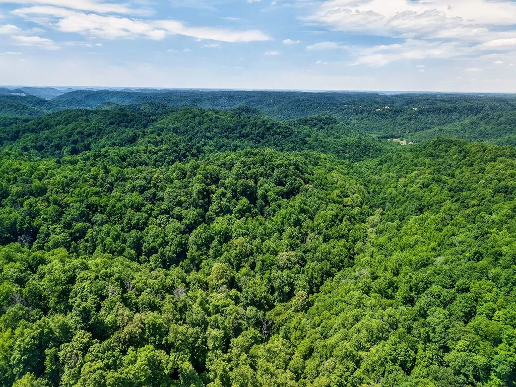 2926 Bryant Ridge Road Baxter TN 38544