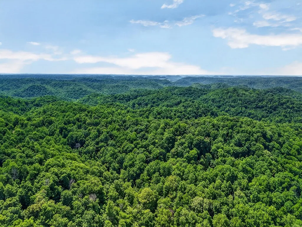 2926 Bryant Ridge Road Baxter TN 38544
