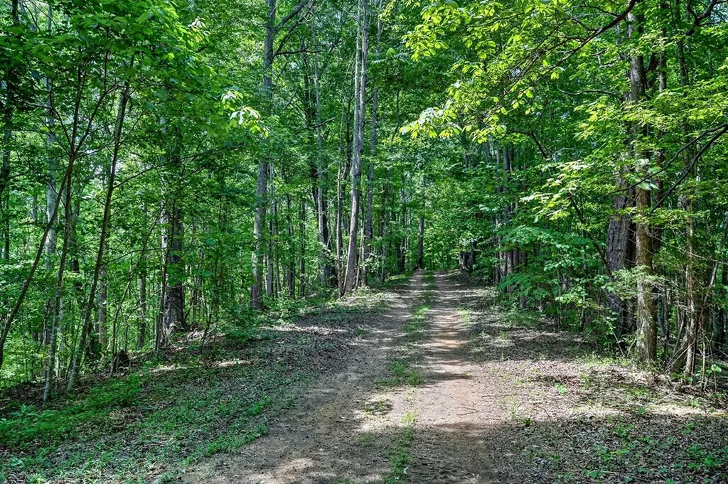 2926 Bryant Ridge Road Baxter TN 38544