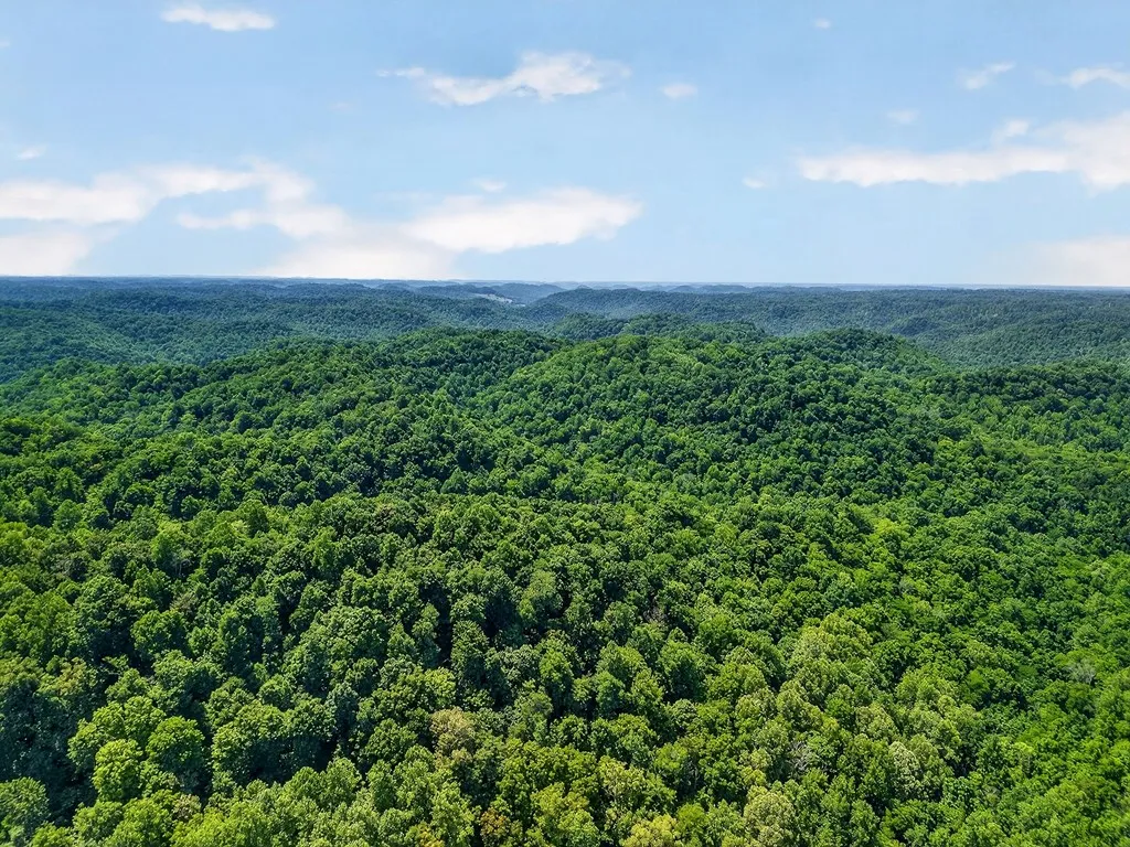 2926 Bryant Ridge Road Baxter TN 38544